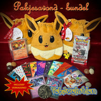 Load image into Gallery viewer, Pokémon Pokémon Sinterklaas bundels - "Pakjesavond" 23621701
